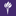 LLM in Competition, Innovation and Information Law | NYU School of Law