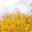 Free Nature Stock – Download free photos, videos, and vectors.