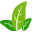 CleanPNG – HD png images and illustrations. Free unlimited download. – CleanPNG